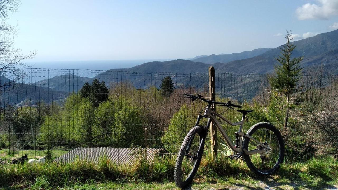 Casa Di Anna Bed & Breakfast Tovo San Giacomo Dış mekan fotoğraf